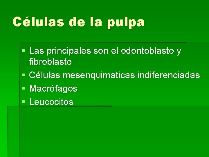 Células de la pulpa § Las principales son el odontoblasto y fibroblasto § Células