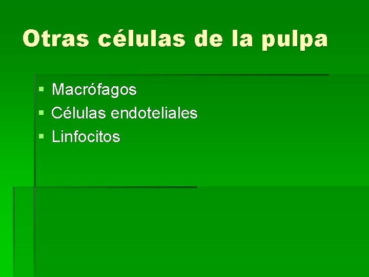 Otras células de la pulpa § § § Macrófagos Células endoteliales Linfocitos 