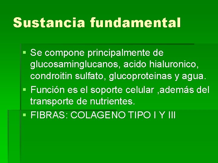 Sustancia fundamental § Se compone principalmente de glucosaminglucanos, acido hialuronico, condroitin sulfato, glucoproteinas y