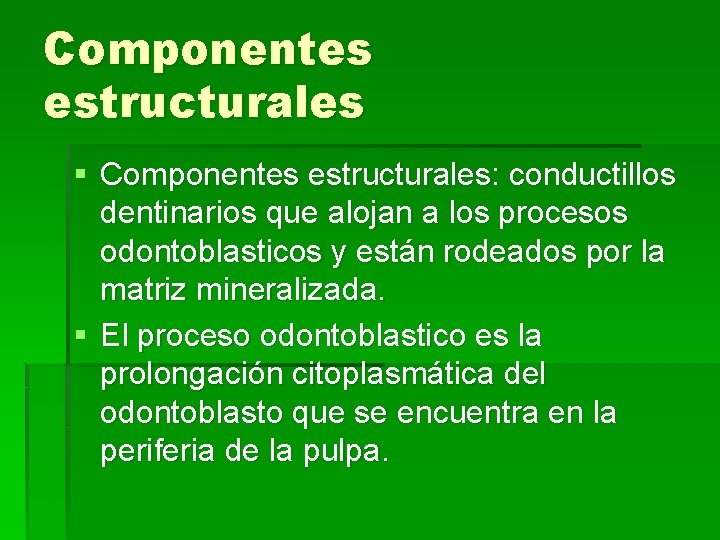 Componentes estructurales § Componentes estructurales: conductillos dentinarios que alojan a los procesos odontoblasticos y