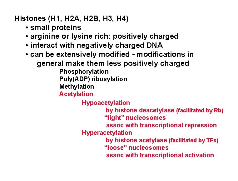 Histones (H 1, H 2 A, H 2 B, H 3, H 4) •