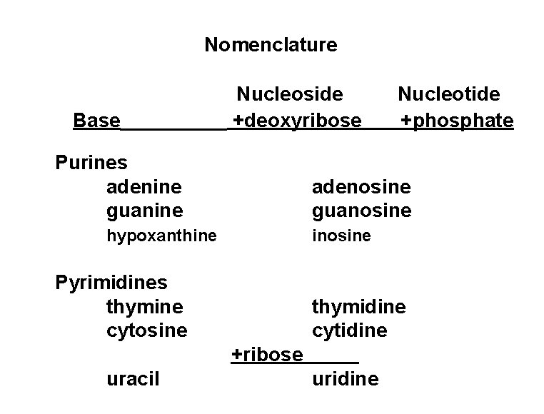 Nomenclature Base Nucleoside +deoxyribose Purines adenine guanine adenosine guanosine hypoxanthine inosine Pyrimidines thymine cytosine