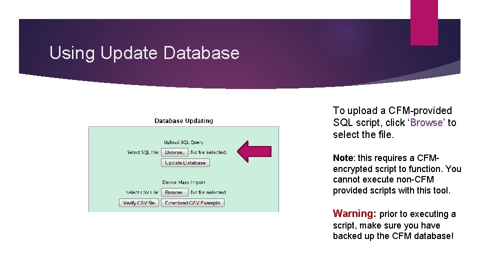 Using Update Database To upload a CFM-provided SQL script, click ‘Browse’ to select the