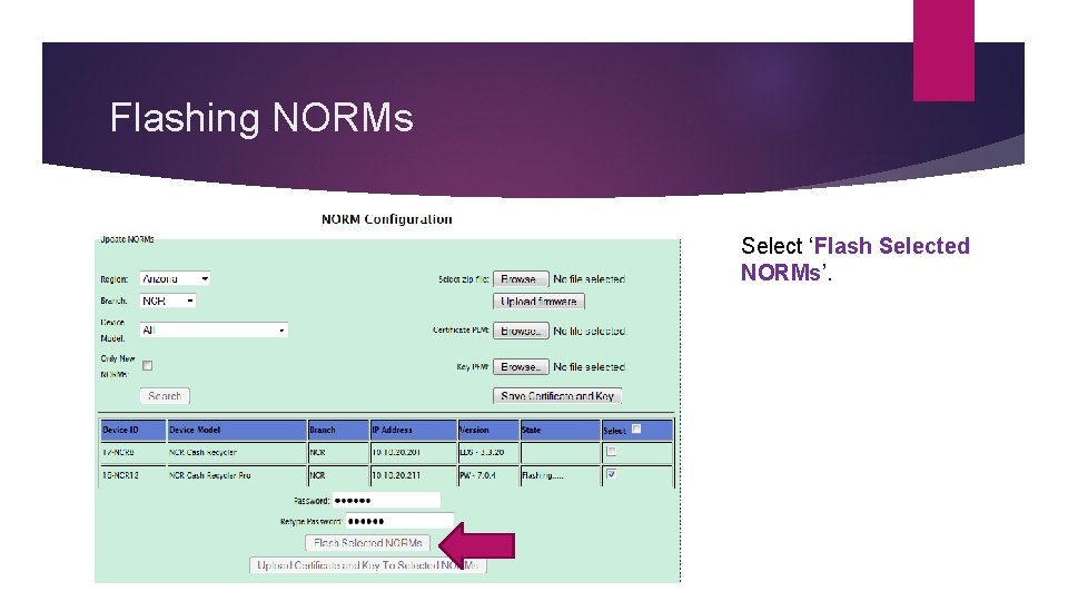 Flashing NORMs Select ‘Flash Selected NORMs’. 