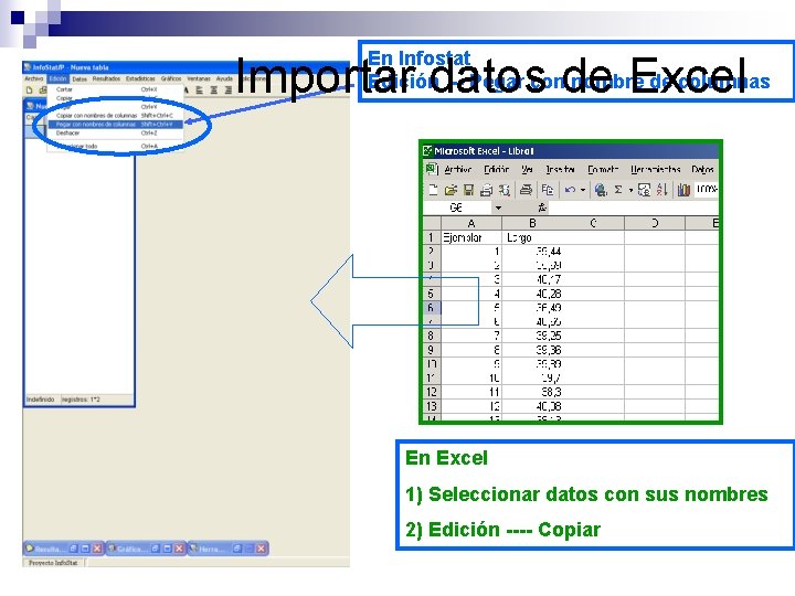 En Infostat Edición -- Pegar con nombre de columnas Importar datos de Excel En