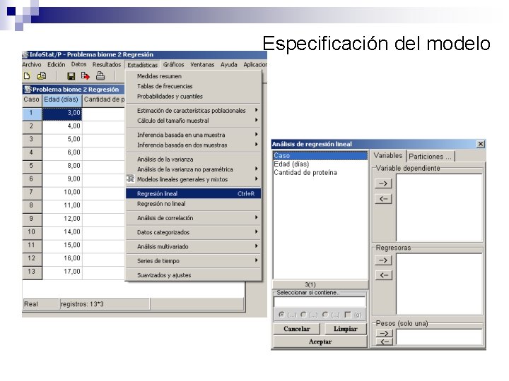 Especificación del modelo 