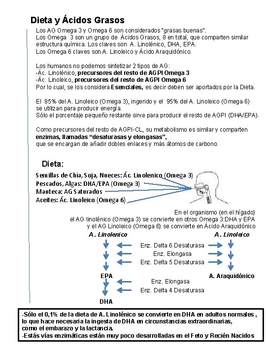 Dieta y Ácidos Grasos Los AG Omega 3 y Omega 6 son considerados “grasas Dieta y Ácidos Grasos Los AG Omega 3 y Omega 6 son considerados “grasas