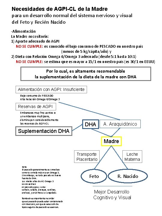 Necesidades de AGPI-CL de la Madre para un desarrollo normal del sistema nervioso y Necesidades de AGPI-CL de la Madre para un desarrollo normal del sistema nervioso y