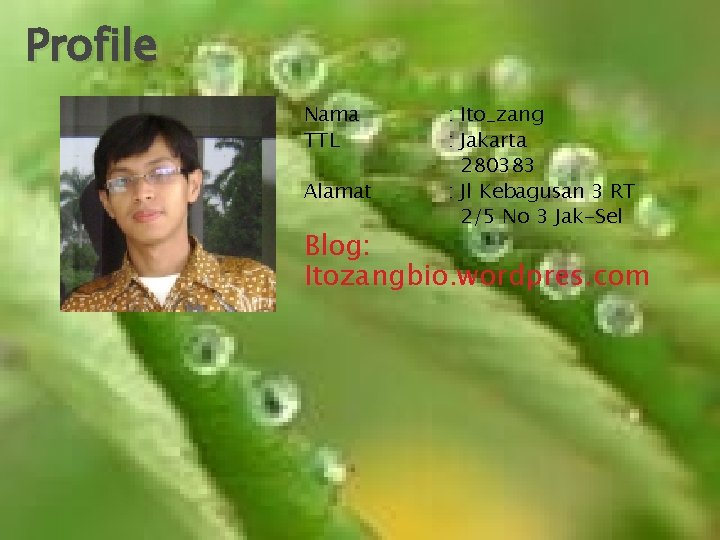 Profile Nama TTL Alamat : Ito_zang : Jakarta 280383 : Jl Kebagusan 3 RT