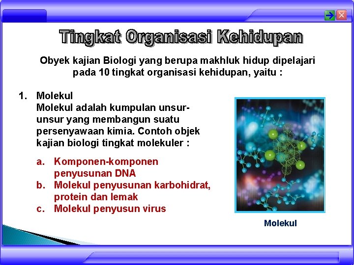 Obyek kajian Biologi yang berupa makhluk hidup dipelajari pada 10 tingkat organisasi kehidupan, yaitu