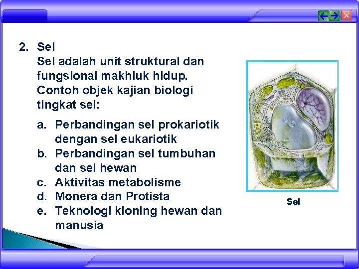 2. Sel adalah unit struktural dan fungsional makhluk hidup. Contoh objek kajian biologi tingkat