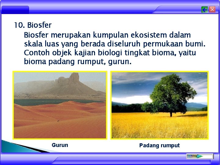 10. Biosfer merupakan kumpulan ekosistem dalam skala luas yang berada diseluruh permukaan bumi. Contoh