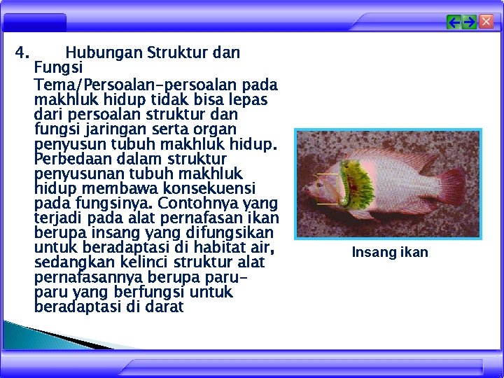 4. Hubungan Struktur dan Fungsi Tema/Persoalan-persoalan pada makhluk hidup tidak bisa lepas dari persoalan