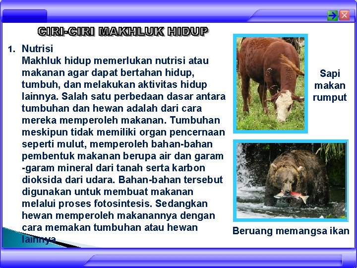 1. Nutrisi Makhluk hidup memerlukan nutrisi atau makanan agar dapat bertahan hidup, Sapi tumbuh,