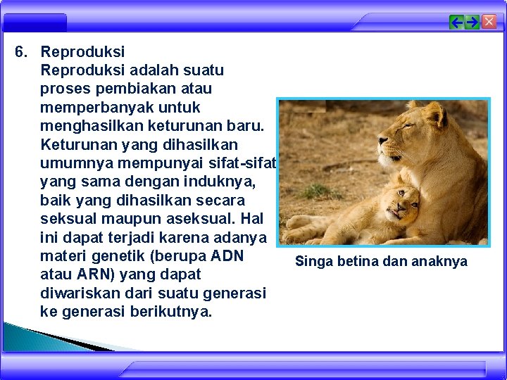 6. Reproduksi adalah suatu proses pembiakan atau memperbanyak untuk menghasilkan keturunan baru. Keturunan yang