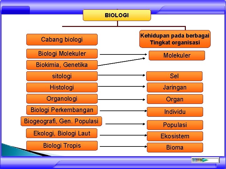 BIOLOGI Cabang biologi Biologi Molekuler Kehidupan pada berbagai Tingkat organisasi Molekuler Biokimia, Genetika sitologi