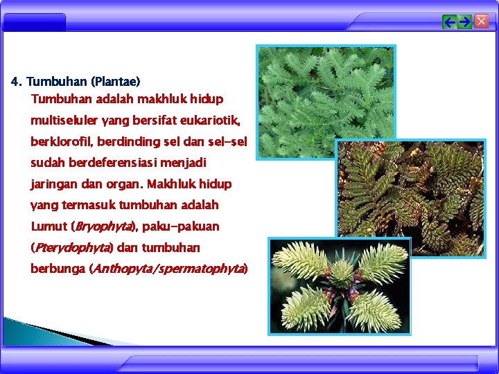 4. Tumbuhan (Plantae) Tumbuhan adalah makhluk hidup multiseluler yang bersifat eukariotik, berklorofil, berdinding sel