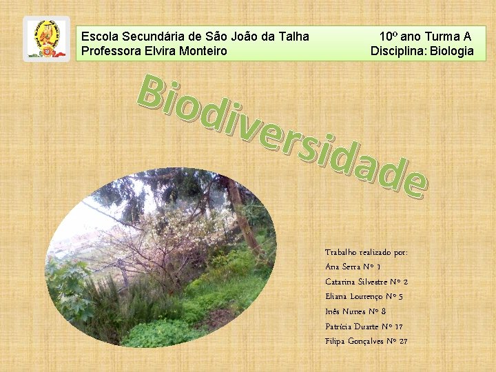 Escola Secundária de São João da Talha Professora Elvira Monteiro 10º ano Turma A Escola Secundária de São João da Talha Professora Elvira Monteiro 10º ano Turma A