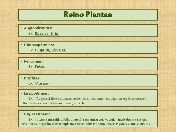 Reino Plantae • Angiopérmicas: Ex: Roseira, Lírio • Gimnospérmicas: Ex: Ginjeira, Oliveira • Felicíneas: