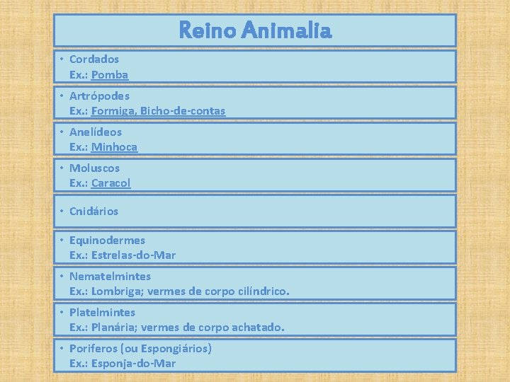 Reino Animalia • Cordados Ex. : Pomba • Artrópodes Ex. : Formiga, Bicho-de-contas • Reino Animalia • Cordados Ex. : Pomba • Artrópodes Ex. : Formiga, Bicho-de-contas •