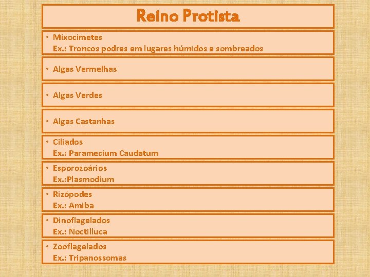 Reino Protista • Mixocimetes Ex. : Troncos podres em lugares húmidos e sombreados •