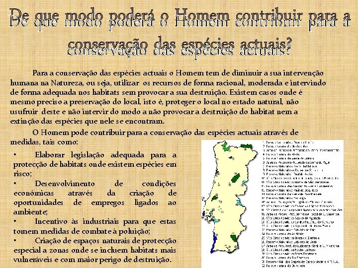 De que modo poderá o Homem contribuir para a conservação das espécies actuais? Para De que modo poderá o Homem contribuir para a conservação das espécies actuais? Para