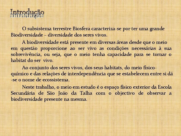 Introdução O subsistema terrestre Biosfera caracteriza-se por ter uma grande Biodiversidade – diversidade dos