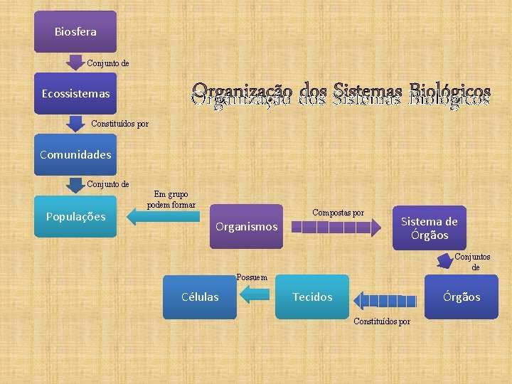 Biosfera Conjunto de Organização dos Sistemas Biológicos Ecossistemas Constituídos por Comunidades Conjunto de Populações
