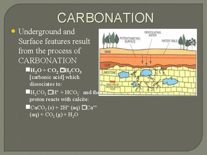 CARBONATION • Underground and Surface features result from the process of CARBONATION H 2