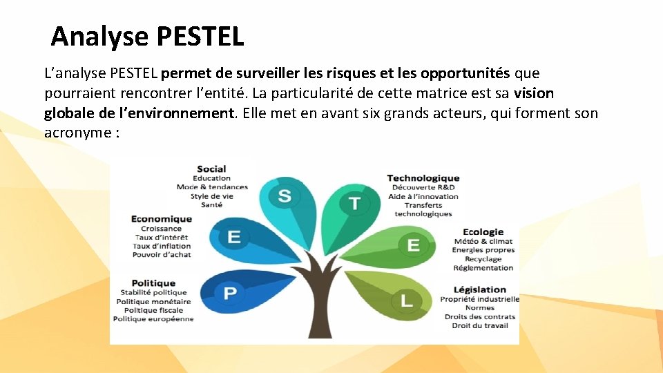 Analyse PESTEL L’analyse PESTEL permet de surveiller les risques et les opportunités que pourraient