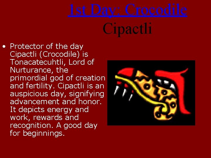 1 st Day: Crocodile Cipactli • Protector of the day Cipactli (Crocodile) is Tonacatecuhtli,