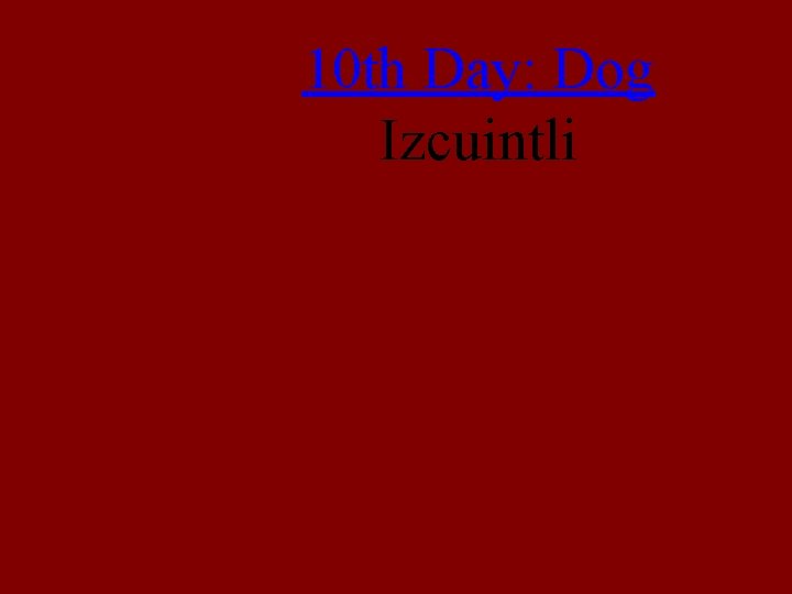 10 th Day: Dog Izcuintli 