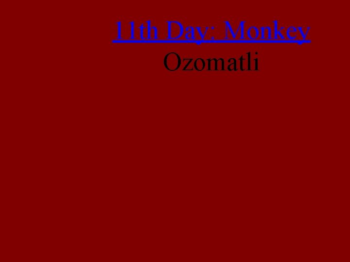 11 th Day: Monkey Ozomatli 