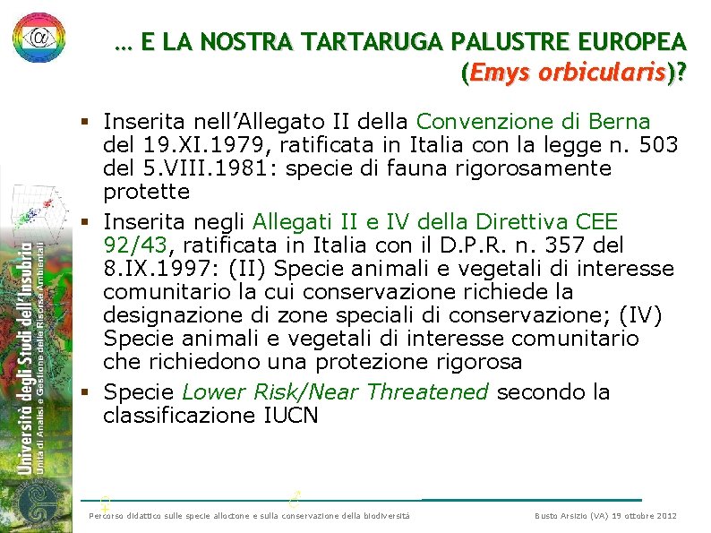 … E LA NOSTRA TARTARUGA PALUSTRE EUROPEA (Emys orbicularis)? § Inserita nell’Allegato II della … E LA NOSTRA TARTARUGA PALUSTRE EUROPEA (Emys orbicularis)? § Inserita nell’Allegato II della