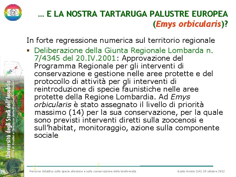 … E LA NOSTRA TARTARUGA PALUSTRE EUROPEA (Emys orbicularis)? In forte regressione numerica sul … E LA NOSTRA TARTARUGA PALUSTRE EUROPEA (Emys orbicularis)? In forte regressione numerica sul