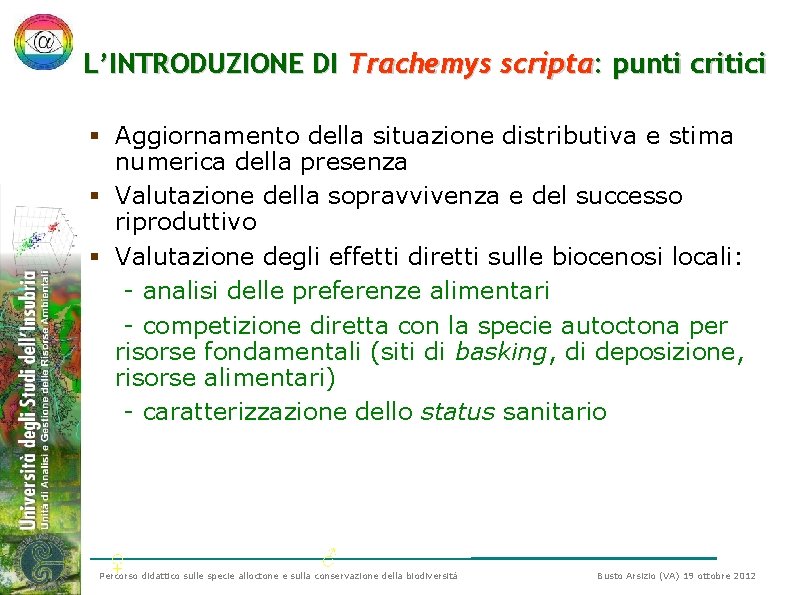 L’INTRODUZIONE DI Trachemys scripta: punti critici § Aggiornamento della situazione distributiva e stima numerica L’INTRODUZIONE DI Trachemys scripta: punti critici § Aggiornamento della situazione distributiva e stima numerica