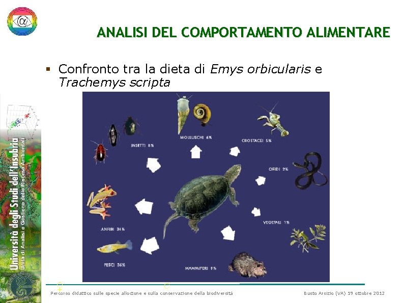 ANALISI DEL COMPORTAMENTO ALIMENTARE § Confronto tra la dieta di Emys orbicularis e Trachemys ANALISI DEL COMPORTAMENTO ALIMENTARE § Confronto tra la dieta di Emys orbicularis e Trachemys