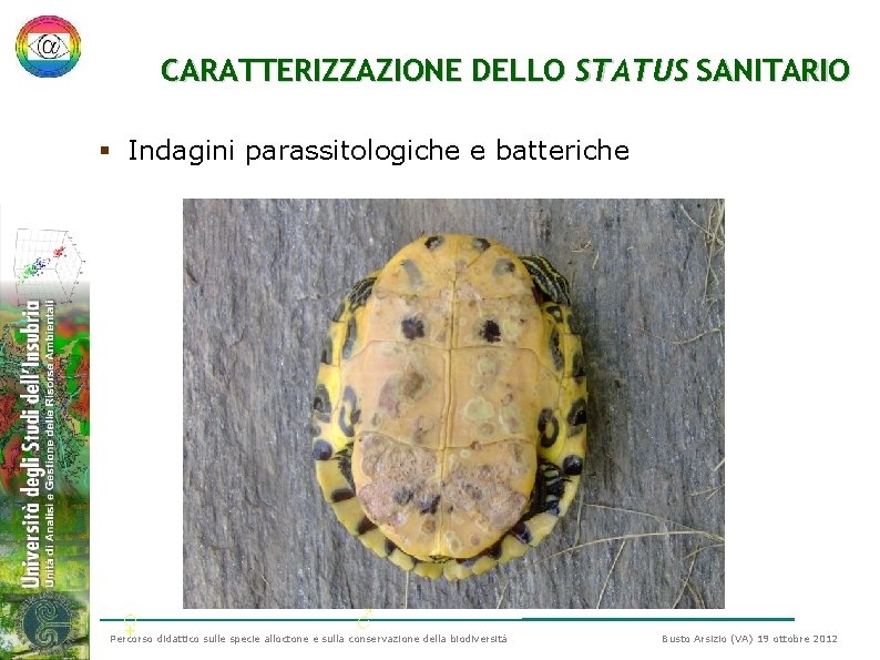 CARATTERIZZAZIONE DELLO STATUS SANITARIO § Indagini parassitologiche e batteriche ♀ ♂ Percorso didattico sulle CARATTERIZZAZIONE DELLO STATUS SANITARIO § Indagini parassitologiche e batteriche ♀ ♂ Percorso didattico sulle