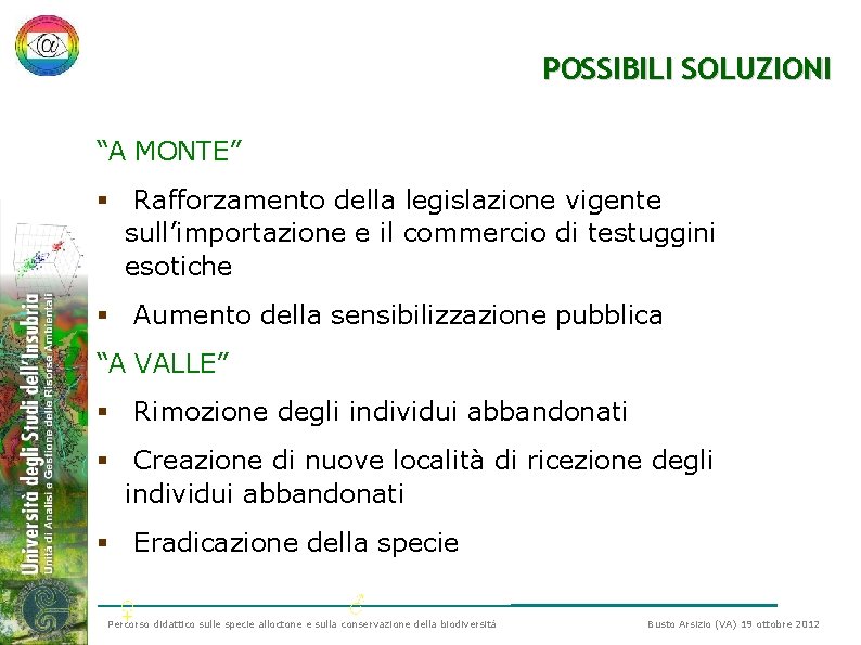 POSSIBILI SOLUZIONI “A MONTE” § Rafforzamento della legislazione vigente sull’importazione e il commercio di POSSIBILI SOLUZIONI “A MONTE” § Rafforzamento della legislazione vigente sull’importazione e il commercio di