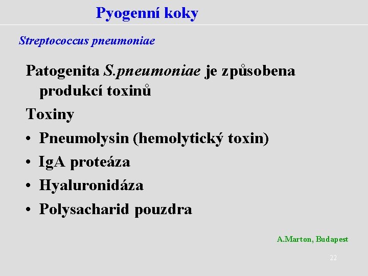 Pyogenní koky Streptococcus pneumoniae Patogenita S. pneumoniae je způsobena produkcí toxinů Toxiny • Pneumolysin