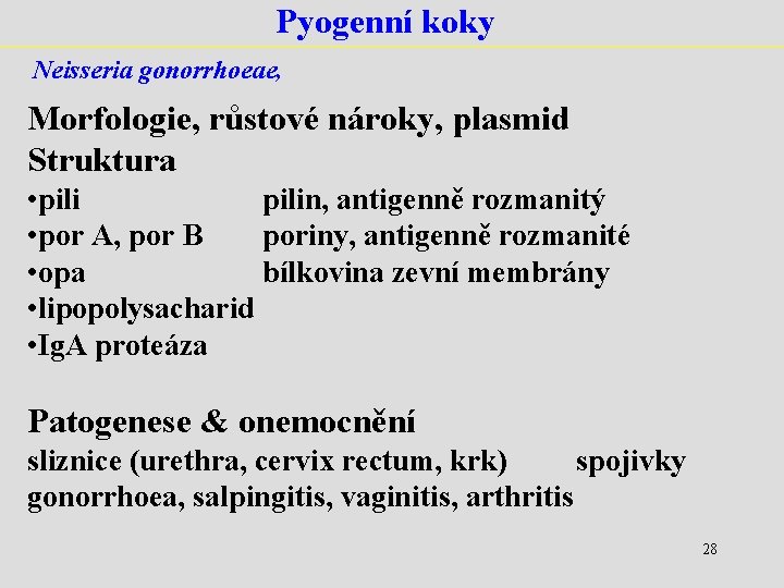 Pyogenní koky Neisseria gonorrhoeae, Morfologie, růstové nároky, plasmid Struktura • pilin, antigenně rozmanitý •