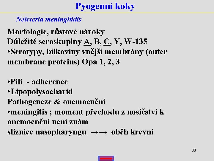 Pyogenní koky Neisseria meningitidis Morfologie, růstové nároky Důležité seroskupiny A, B, C, Y, W-135