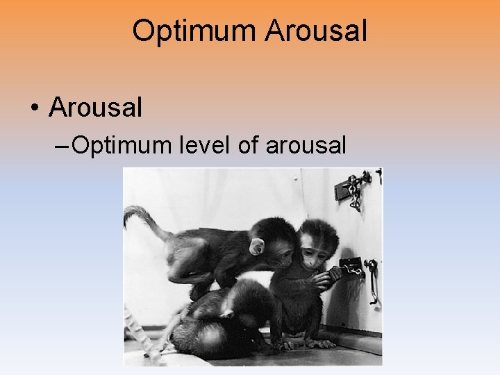 Optimum Arousal • Arousal – Optimum level of arousal 