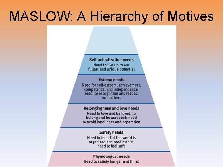 MASLOW: A Hierarchy of Motives 