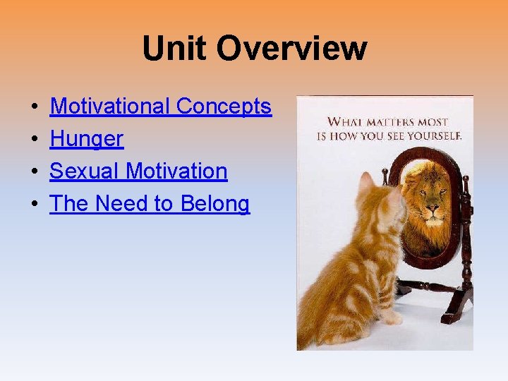 Unit Overview • • Motivational Concepts Hunger Sexual Motivation The Need to Belong 