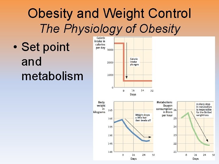 Obesity and Weight Control The Physiology of Obesity • Set point and metabolism 