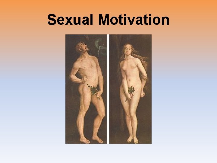 Sexual Motivation 