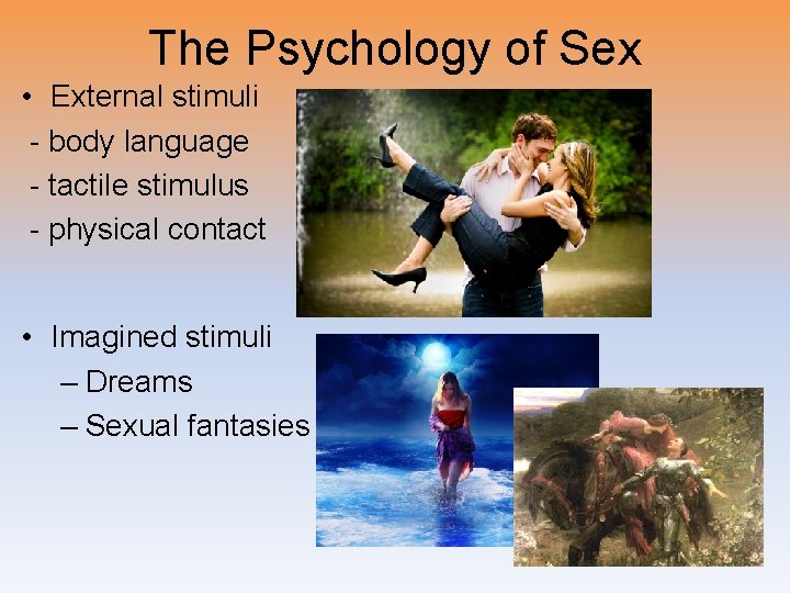 The Psychology of Sex • External stimuli - body language - tactile stimulus -