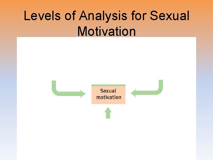 Levels of Analysis for Sexual Motivation 