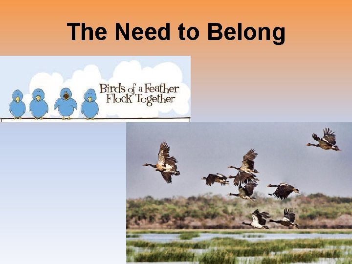 The Need to Belong 